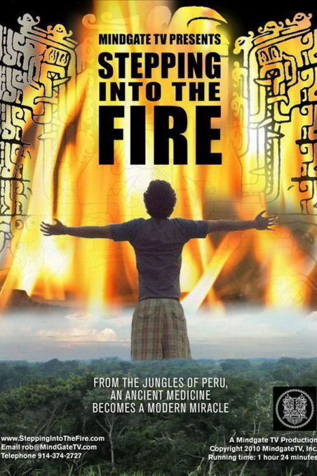 Stepping Into the Fire Font