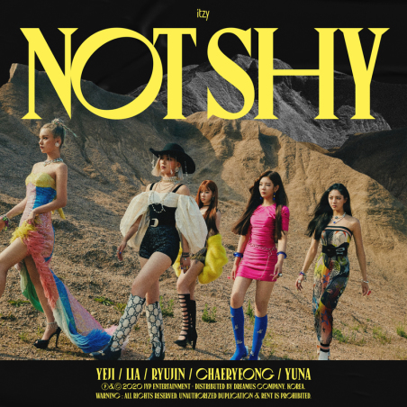 Not Shy Font