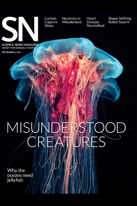 Science News Font