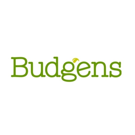Budgens Font