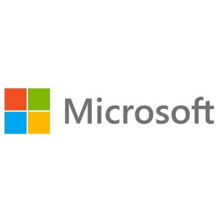 Microsoft Font